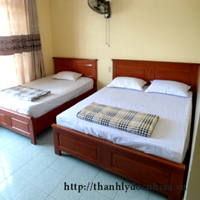 Giường gỗ khách sạn giá rẻ